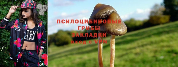 2c-b Балабаново