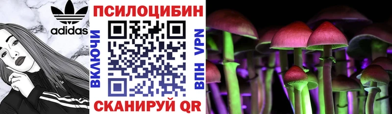 Галлюциногенные грибы мухоморы  KRAKEN ССЫЛКА  Кунгур  где купить наркоту 